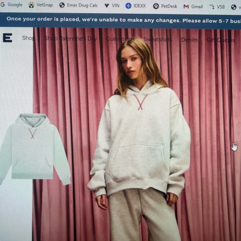 Parke s/m sold out hoodie sweatshirt